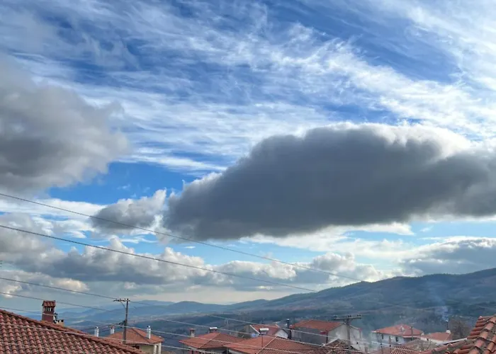 Nikos's 塔克西阿尔希斯